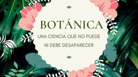 Timeline: Linea de tiempo sobre el aporte de diferentes personajes en el desarrollo de la Botánica Sistemática. (OJO: tócame y deslizame para saber qué digo).