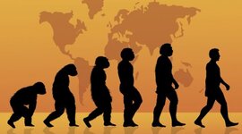 Timeline: L'evolució humana