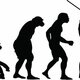 La evolucion humana