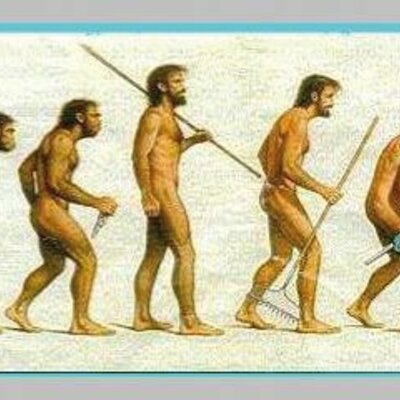 Timeline: L'arbre de l'evolucio humana