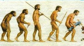 Timeline: L'arbre de l'evolucio humana