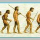 Evolucio humna