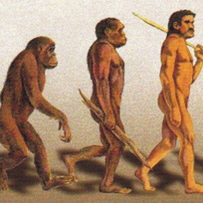 Timeline: La evolució humana