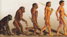 Timeline: La evolució humana