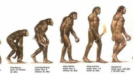 Timeline: L'evolucio humana