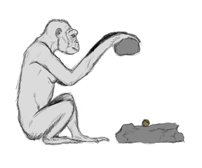 Ardipithecus