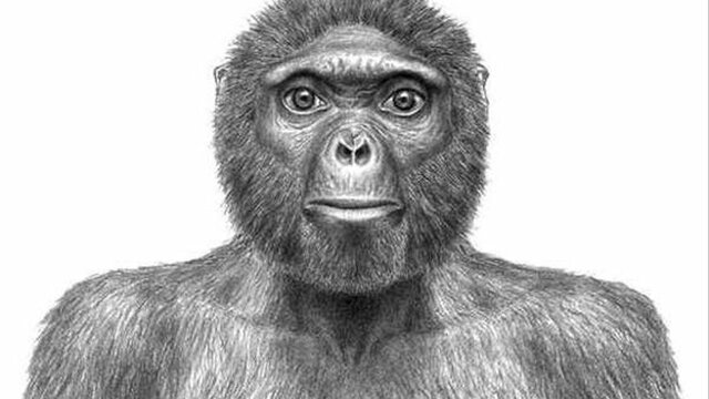 Adripithecus