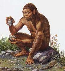 HOMO ERECTUS