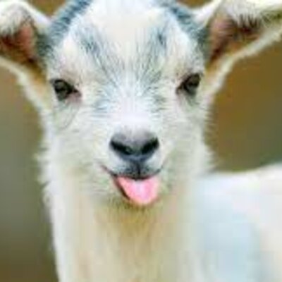 Timeline: Chapter 8 History Timeline