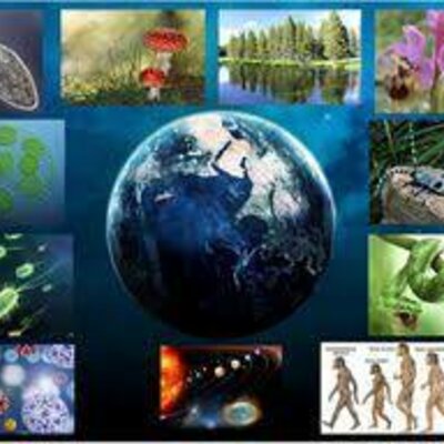 Timeline: Historia sobre las ciencias naturales