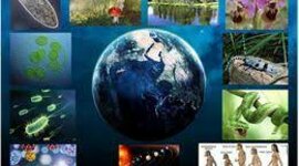 Timeline: Historia sobre las ciencias naturales