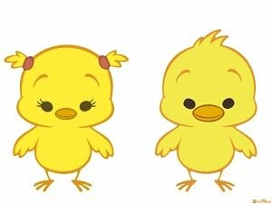 Vam tindre pollets a 1r!