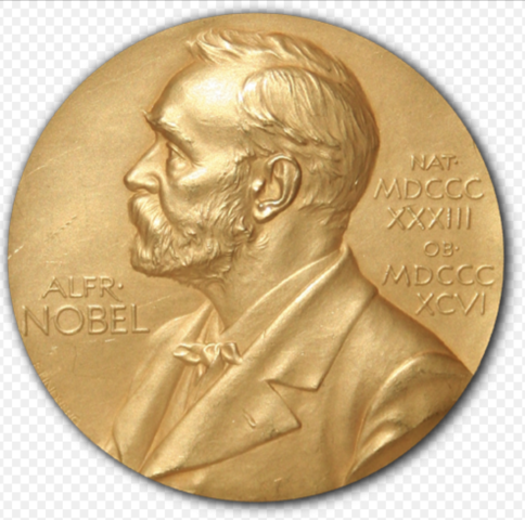 The Nobel Prize in Physics