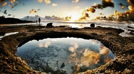 Timeline: MY TIMELINE