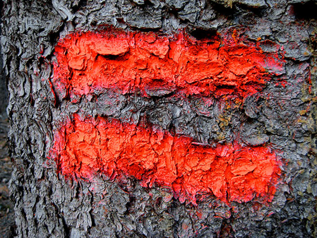 The Battle at the New Village