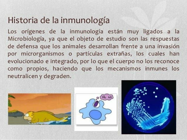 El concepto de inmunidad se remonta al año 434 aC cuando Tucídides hace referencia en su obra La guerra del Peloponeso a la plaga que devastó gran parte de Atenas