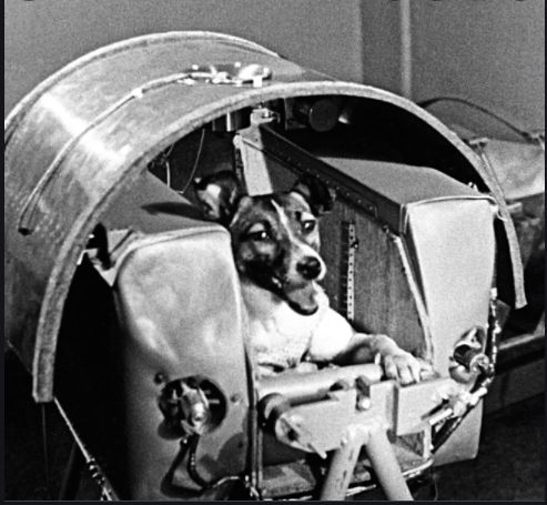 First animal in space by USSR