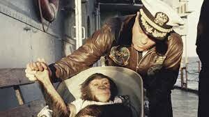 First animal in space by USA (Ham the chimp)