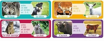 la force de l'animal