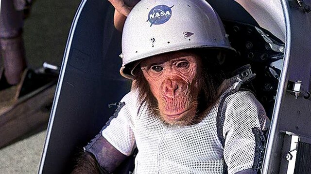 First animal in space - US