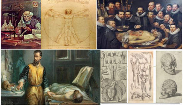 La creencia en la ciencia comienza a ser más común.