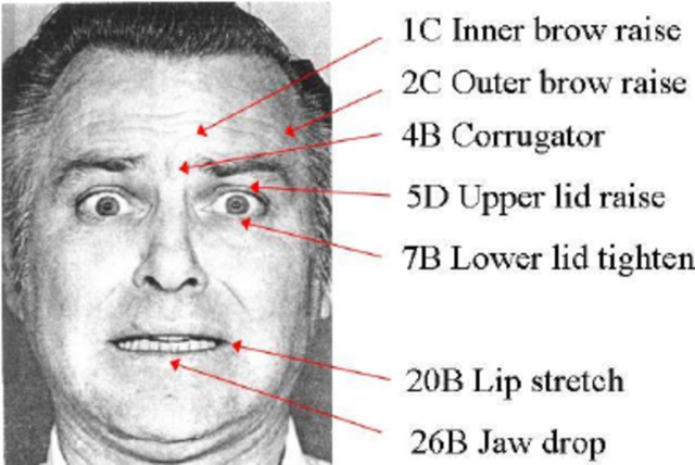 Paul Ekman’s Facial Action Coding System (FACS)
