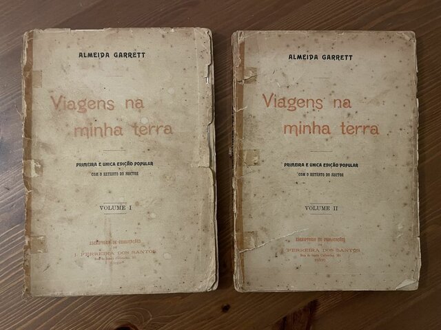 É publicado a primeira parte do romance "Viagens na minha Terra"