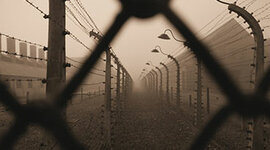 Timeline: The Holocaust