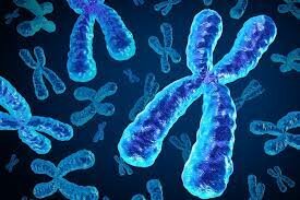 Avances genéticos y biología celular