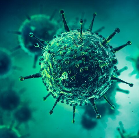 Lucha de enfermedades