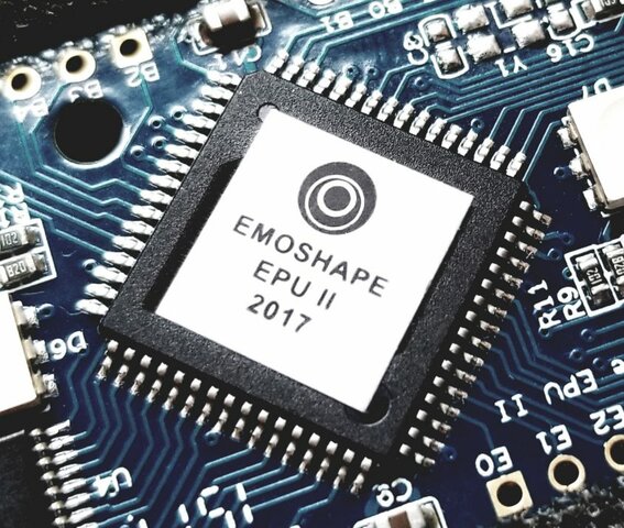 Emotion Processing Units (EMU's)