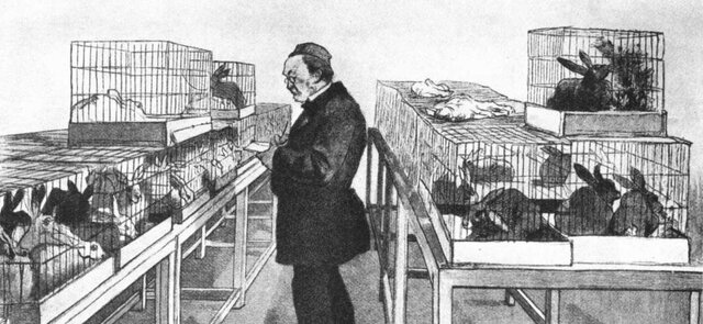 Uno de los acontecimientos importantes de la inmunología: se trata de la vacuna anti-carbuncosa, cuya célebre experiencia se realizó en Poilly-le-Fort