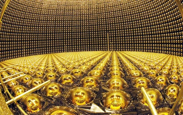 Davis Jr. y Masatoshi.