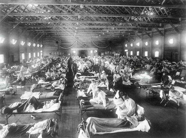 H1N1 "Spanish" Flu