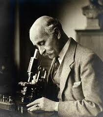 Ocurrió una observación importante realizada por George HF Nuttall, al estudiar la fagocitosis, y notar que el suero de animales normales poseía una toxicidad natural contra ciertos microorganismos