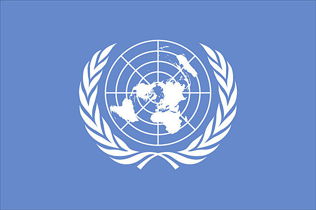 Directrices de Protección de Datos de la ONU