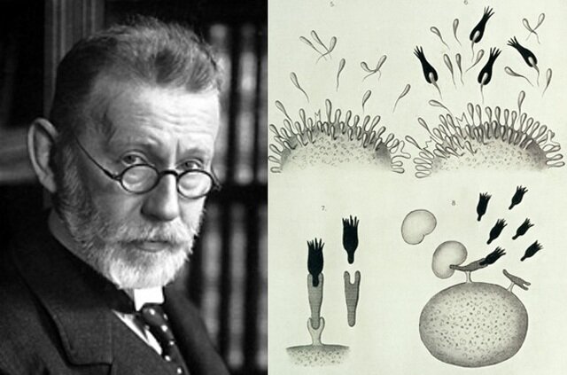 Paul Ehrlich - Primer uso del término quimioterapia