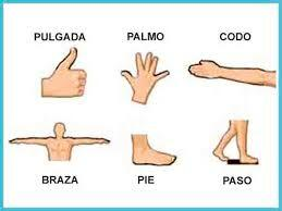 Unidades antropomórficas