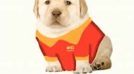 Timeline: Historia Del Internet