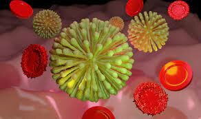 Empezó a vislumbrar la patología celular y especialmente a expresar su controversia contra el hemato-humoralista Rokitansky