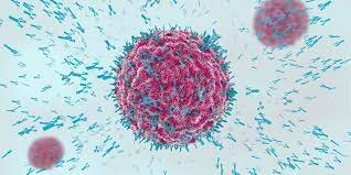 El renacimiento de la inmunología celular.