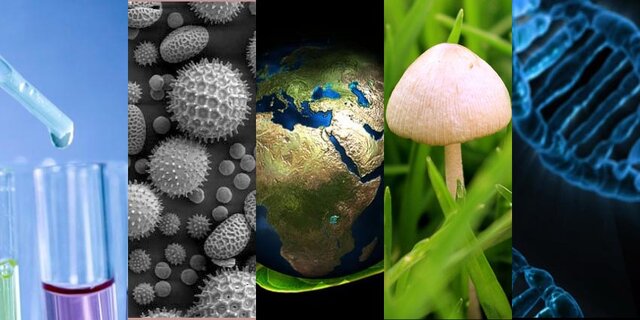 ¿Cuándo se dio a conocer como ciencia biológica?