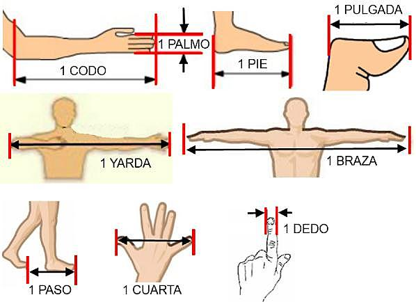 Unidades Antropomórficas
