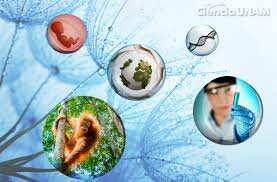 ¿Rama de la ética?