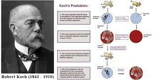 Germ Theory of Diseases by Robert Koch