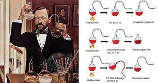 Multiple Discoveries In Microbiology by Louis Pasteur