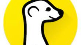 Timeline: Meerkat, periscope The streaming wars begin (2015)- Meerkat was the first app to start the live streaming craze. Then twitter developed periscope and won the first streaming wars. Periscope became everyone's easy to use app for live streaming.