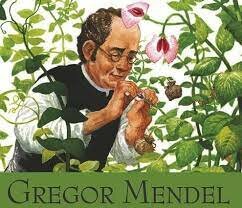 Foundation of Modern Genetics by Gregor Mendel