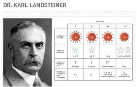 Development of Modern Classification of Blood Types by Karl Landsteiner