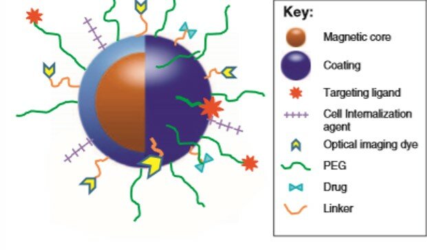 Nanopartículas; aplicación biológica y ambiental